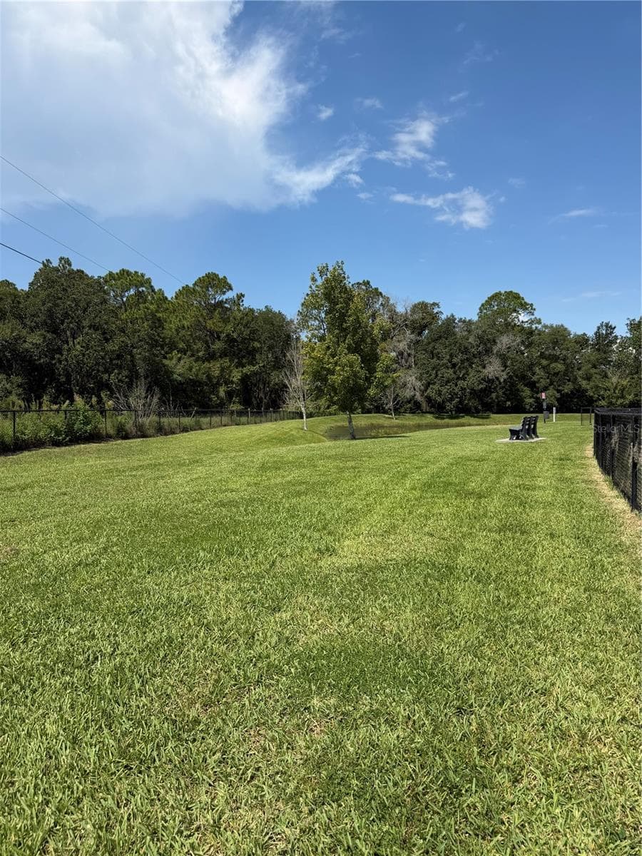 Dog park - 36101 STABLE WILK AVE, ZEPHYRHILLS