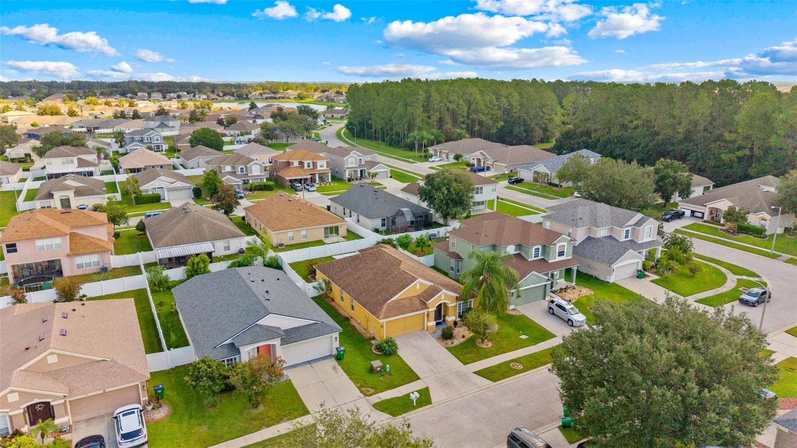 Single Family Residence at 30407 STAPLETON ST, WESLEY CHAPEL, photo 40 of 49