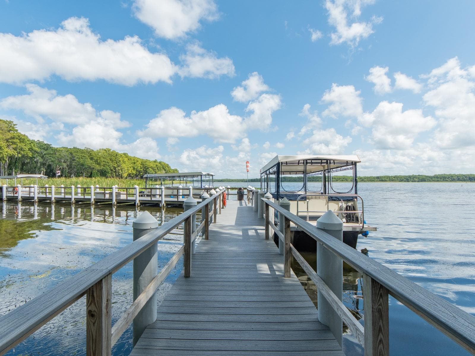 Scenic waterfront access and community docks. - 1207 TIMBERBROOKE DR, PALM HARBOR