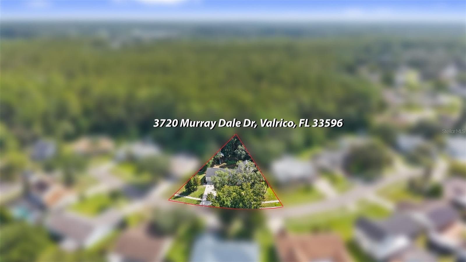 Single Family Residence at 3720 MURRAY DALE DR, VALRICO, photo 61 of 68