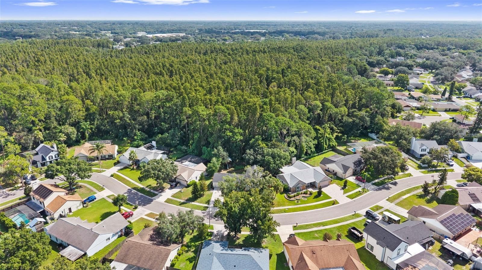 Single Family Residence at 3720 MURRAY DALE DR, VALRICO, photo 62 of 68