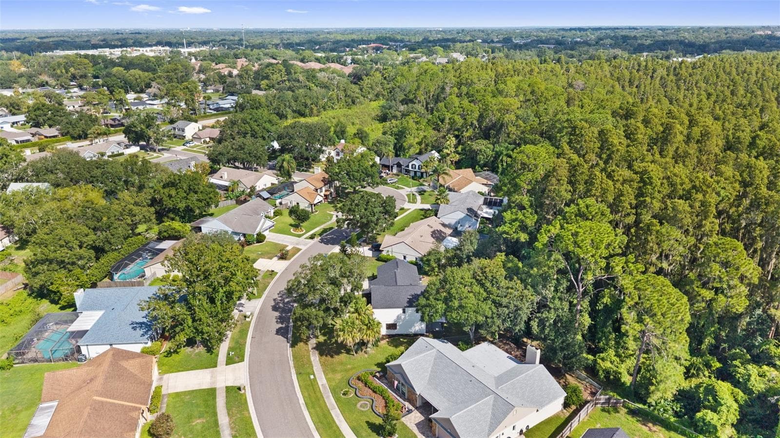 Single Family Residence at 3720 MURRAY DALE DR, VALRICO, photo 65 of 68