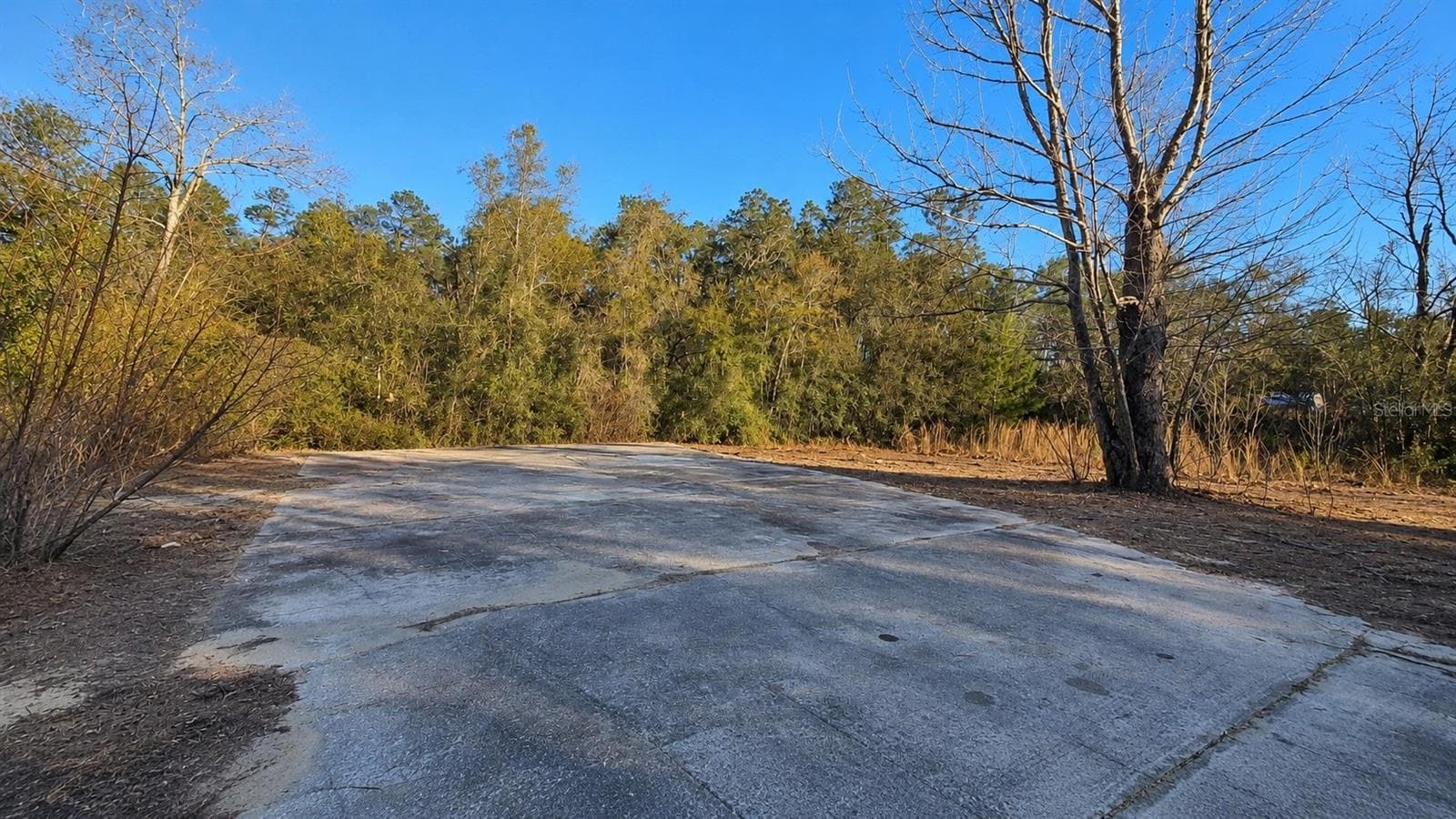 Land at 14175 SE 209TH TER, UMATILLA, photo 2 of 3