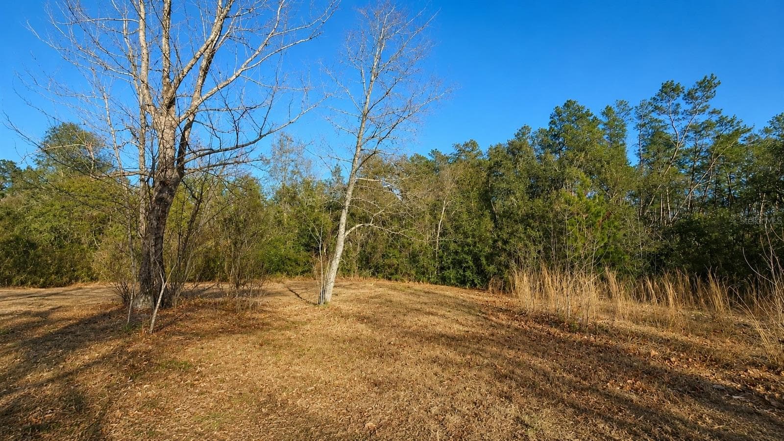 Land at 14175 SE 209TH TER, UMATILLA, photo 3 of 3