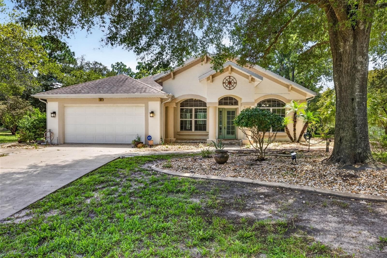 12 NICOTIANA CT