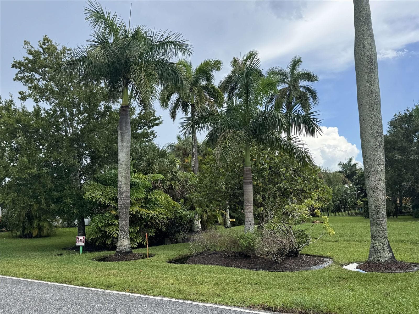 Land at 325 W WILLIAM ST, PUNTA GORDA, photo 3 of 4