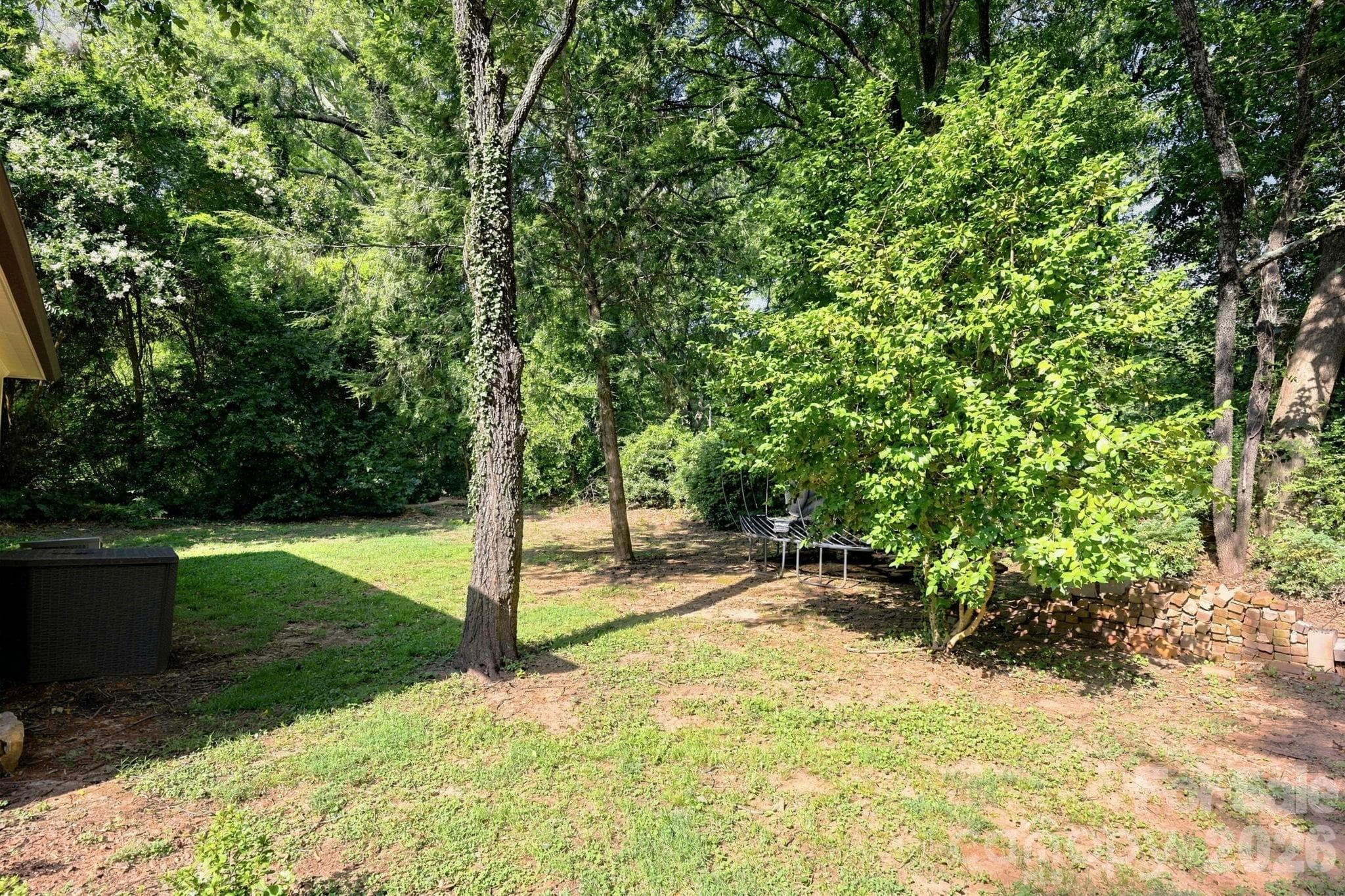 More yard space behind cottage - 559 N Main Street, Davidson