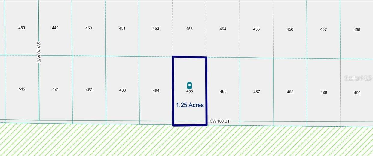 Land at TBD SW 160TH ST, DUNNELLON, photo 2 of 5