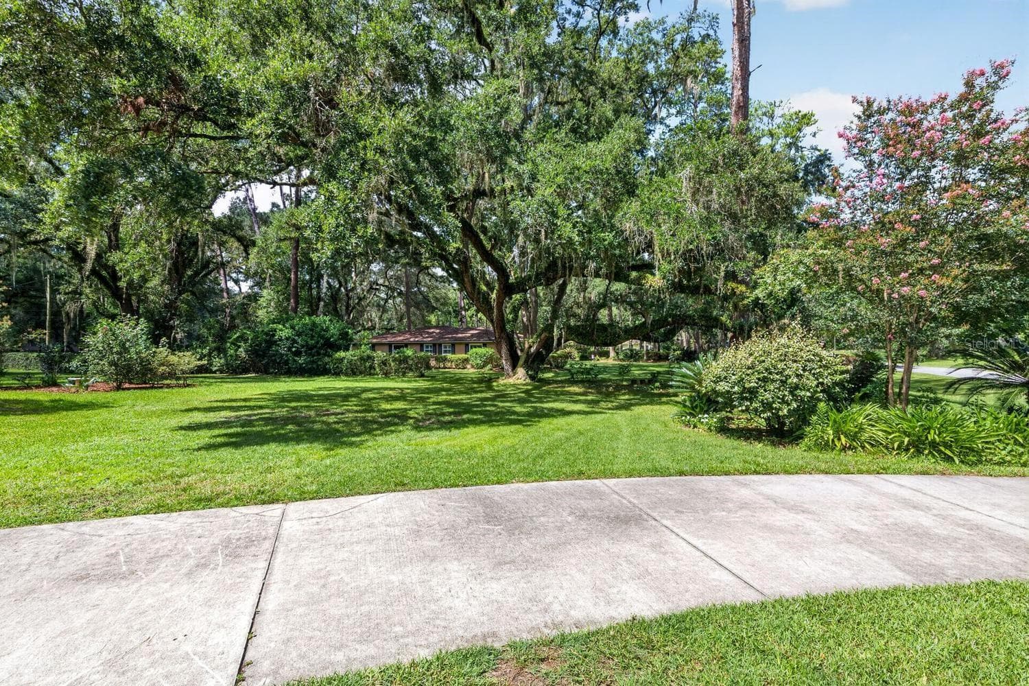 Amazing Live Oak Tree - 11101 NW 12TH PL, GAINESVILLE