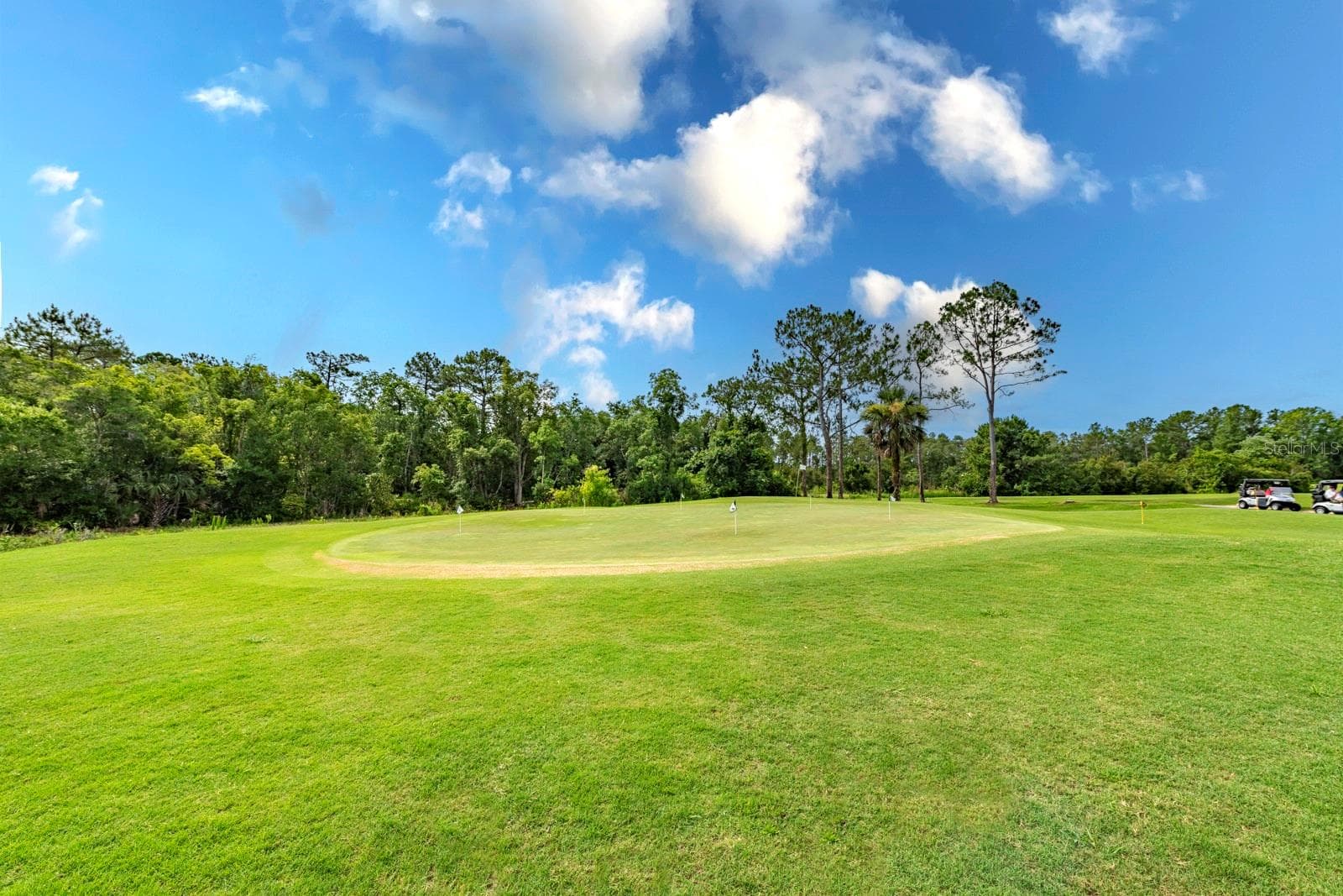 Single Family Residence at 5039 GREENBRIAR TRL, MOUNT DORA, photo 47 of 47