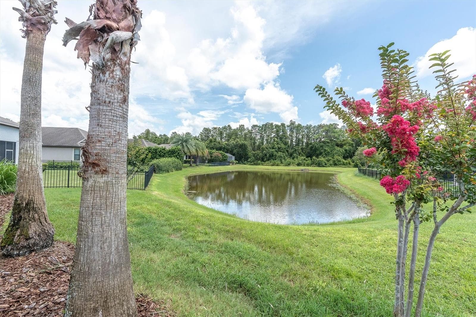 Backyard with Pond View - 8454 MAY PORT CT, LAND O LAKES