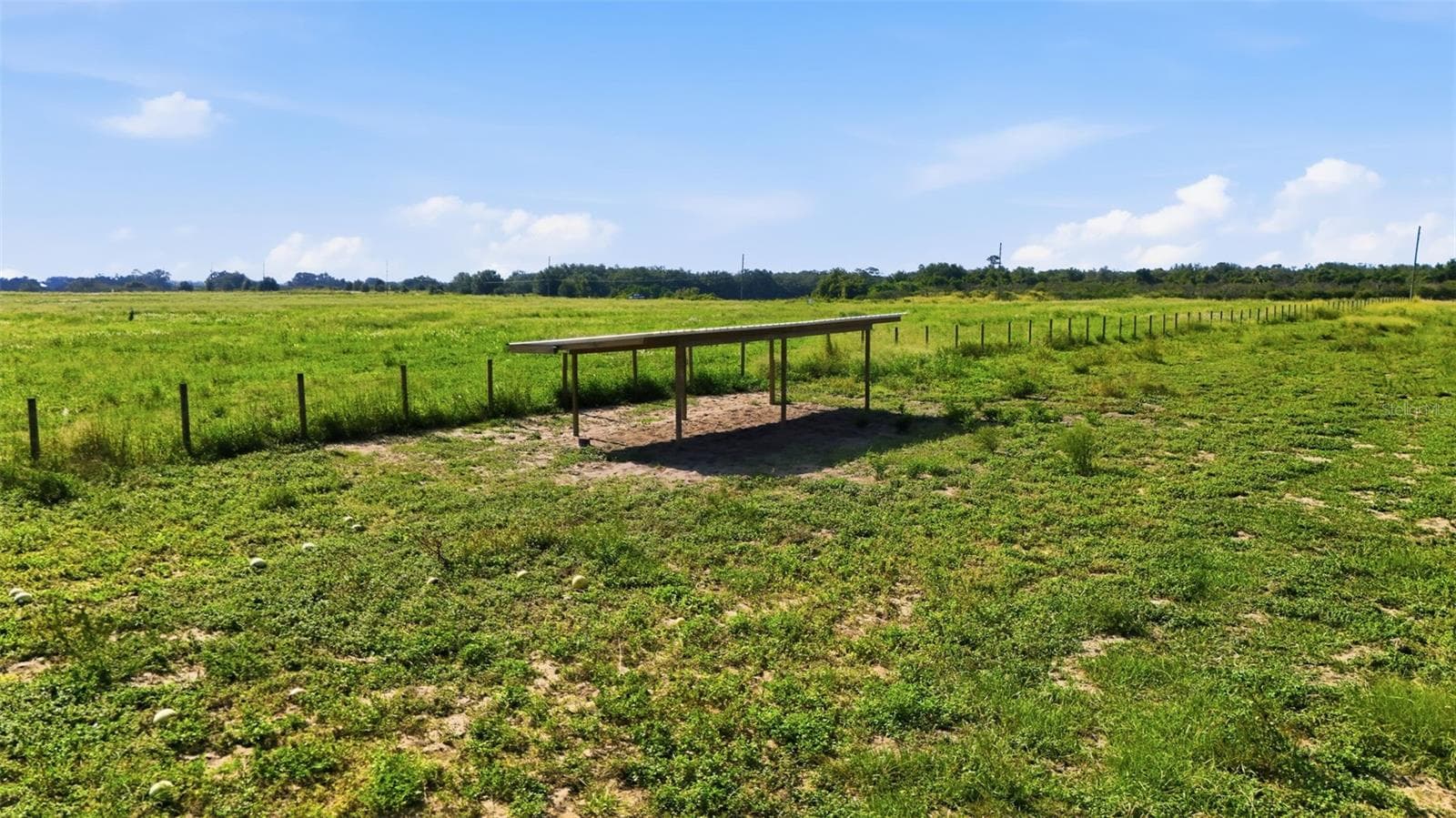 Land at MAMMOTH GROVE RD, LAKE WALES, photo 10 of 31