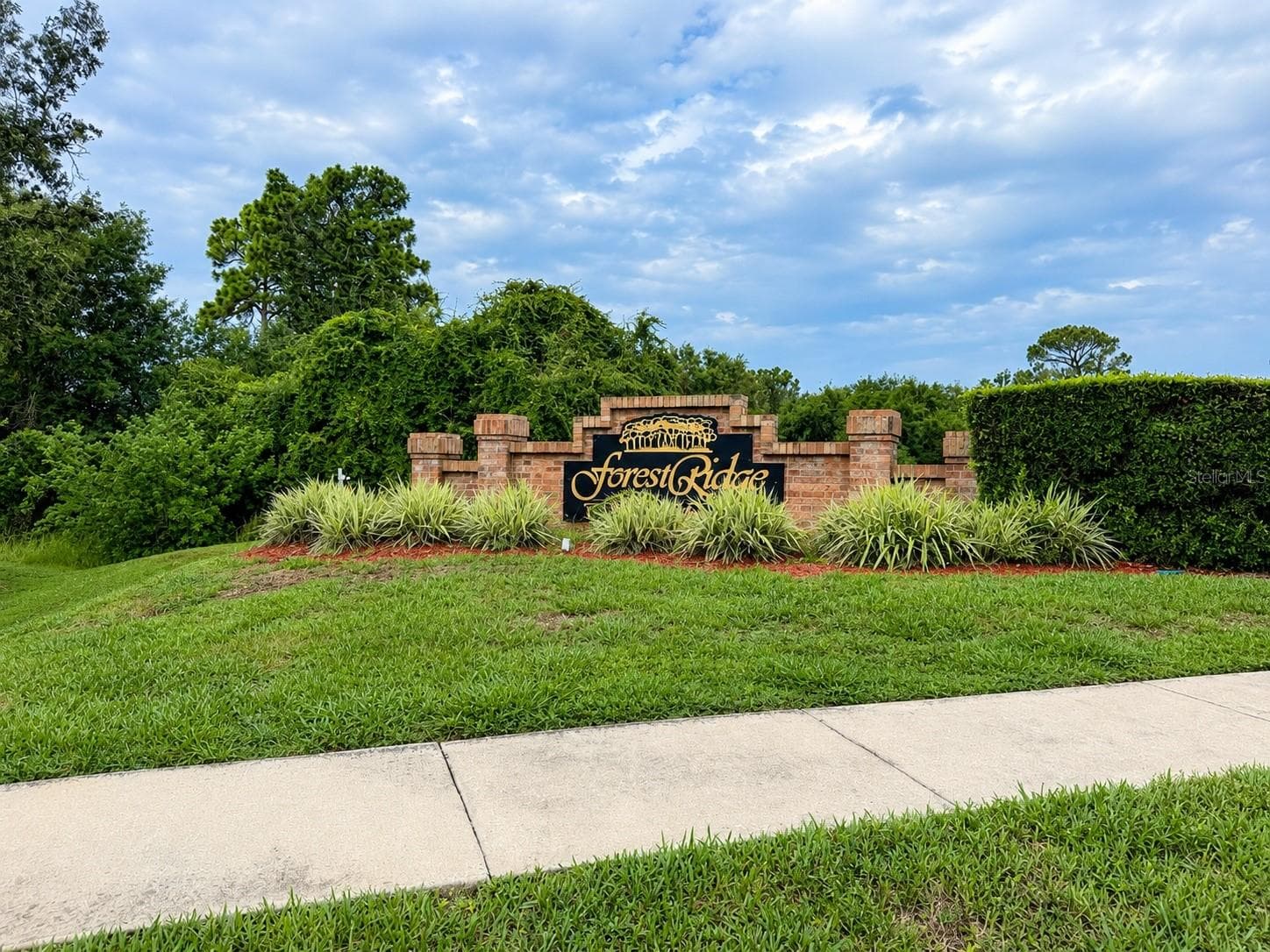 Single Family Residence at 1959 WOOD TRAIL ST, TARPON SPRINGS, photo 45 of 45