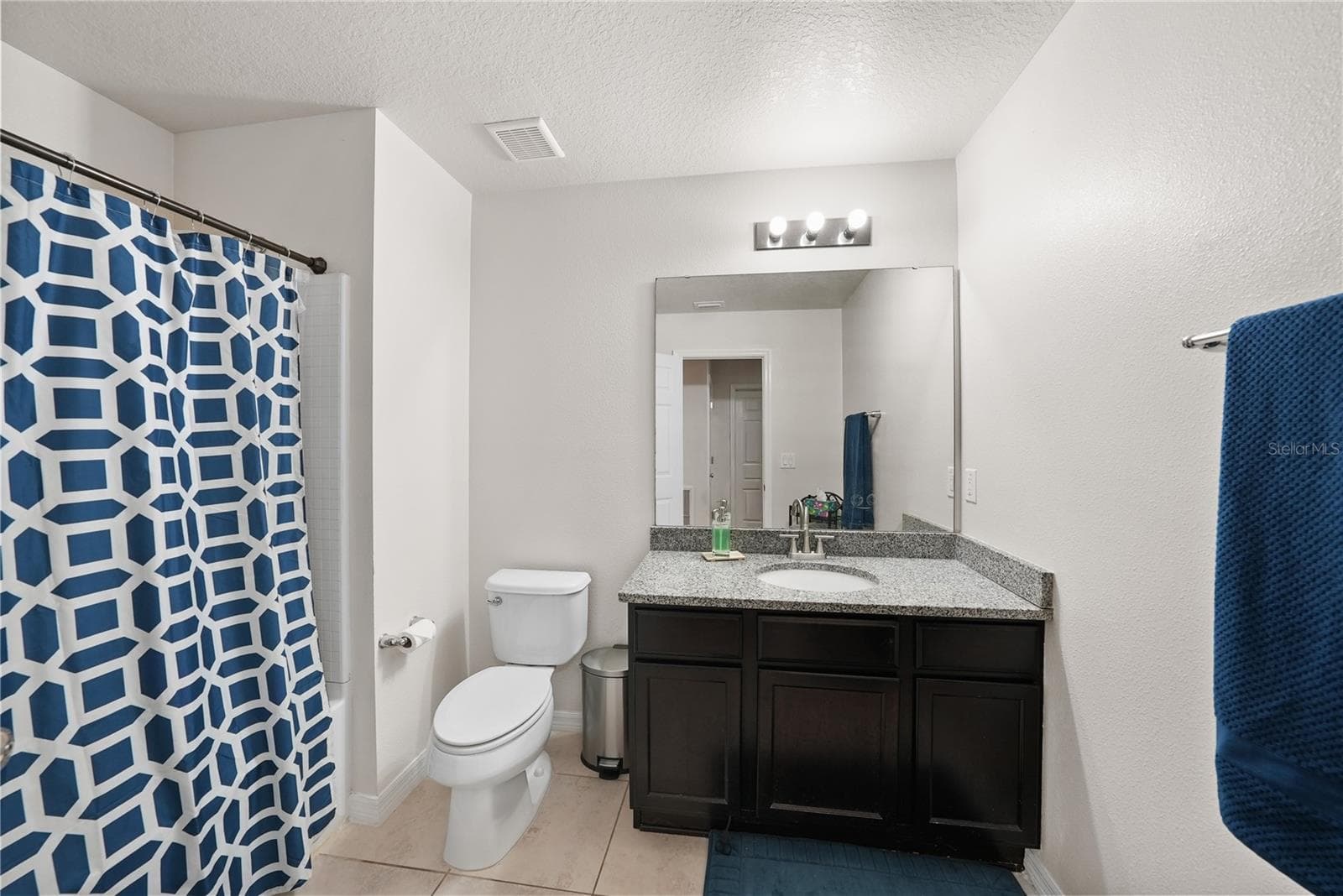 Single Family Residence at 8415 LOBLOLLY PINE CT, RIVERVIEW, photo 18 of 38