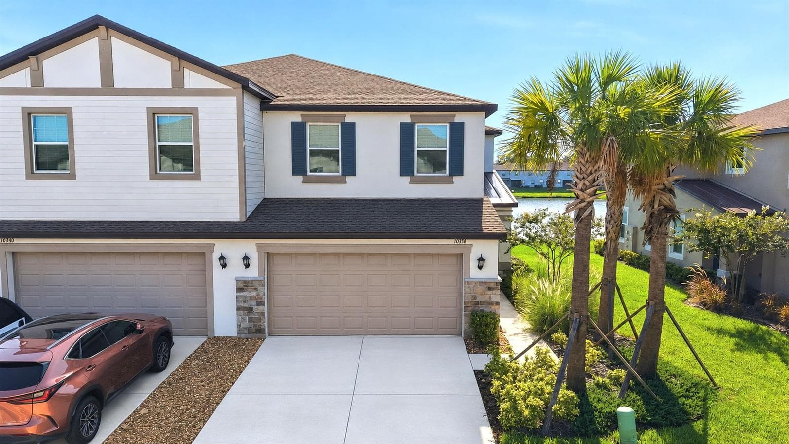 10336 LAVENDER ASTER TRL
