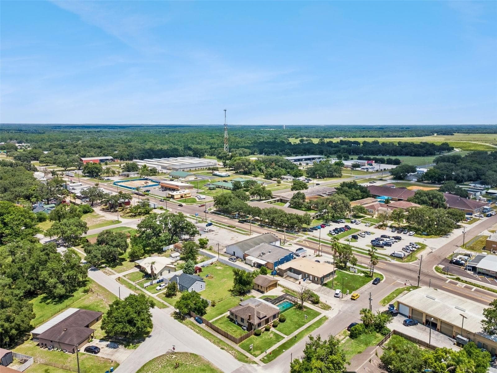 Aerial View - 116 W ARBORVITAE LN, POLK CITY