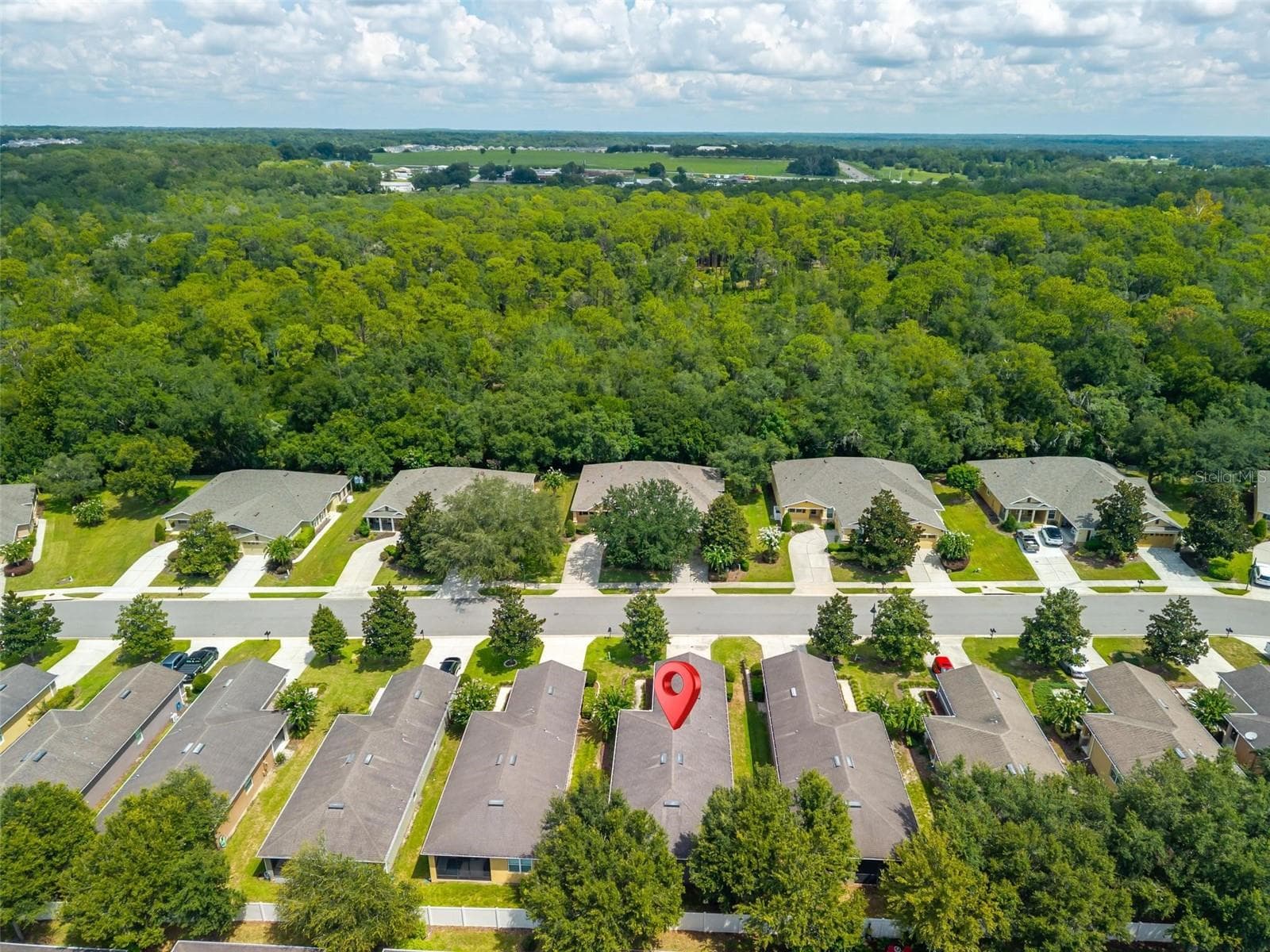 Aerial View - 30539 LIPIZZAN TER, MOUNT DORA