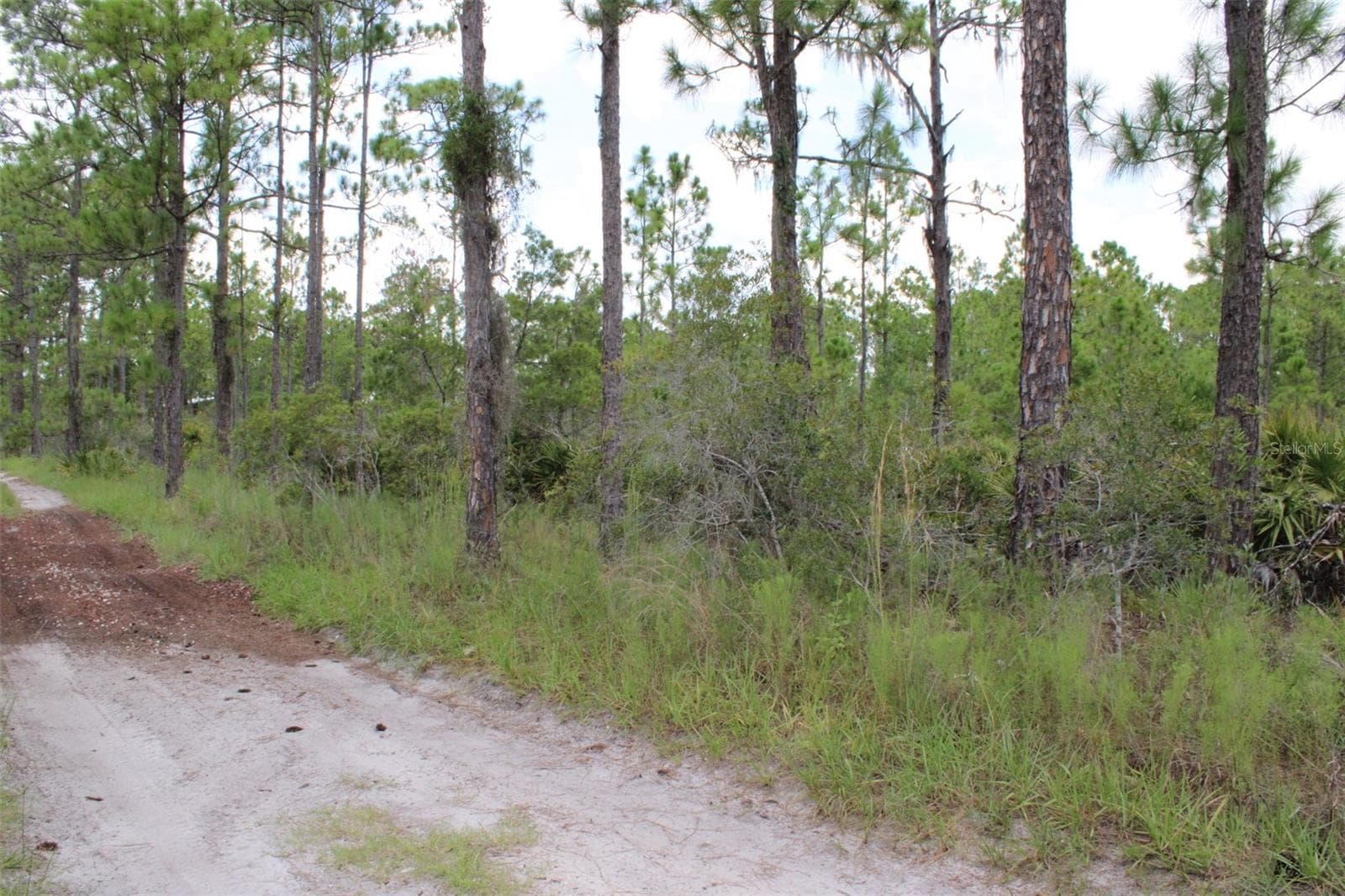 Land at 1714 OLEASTER AVE, SEBRING, photo 3 of 3
