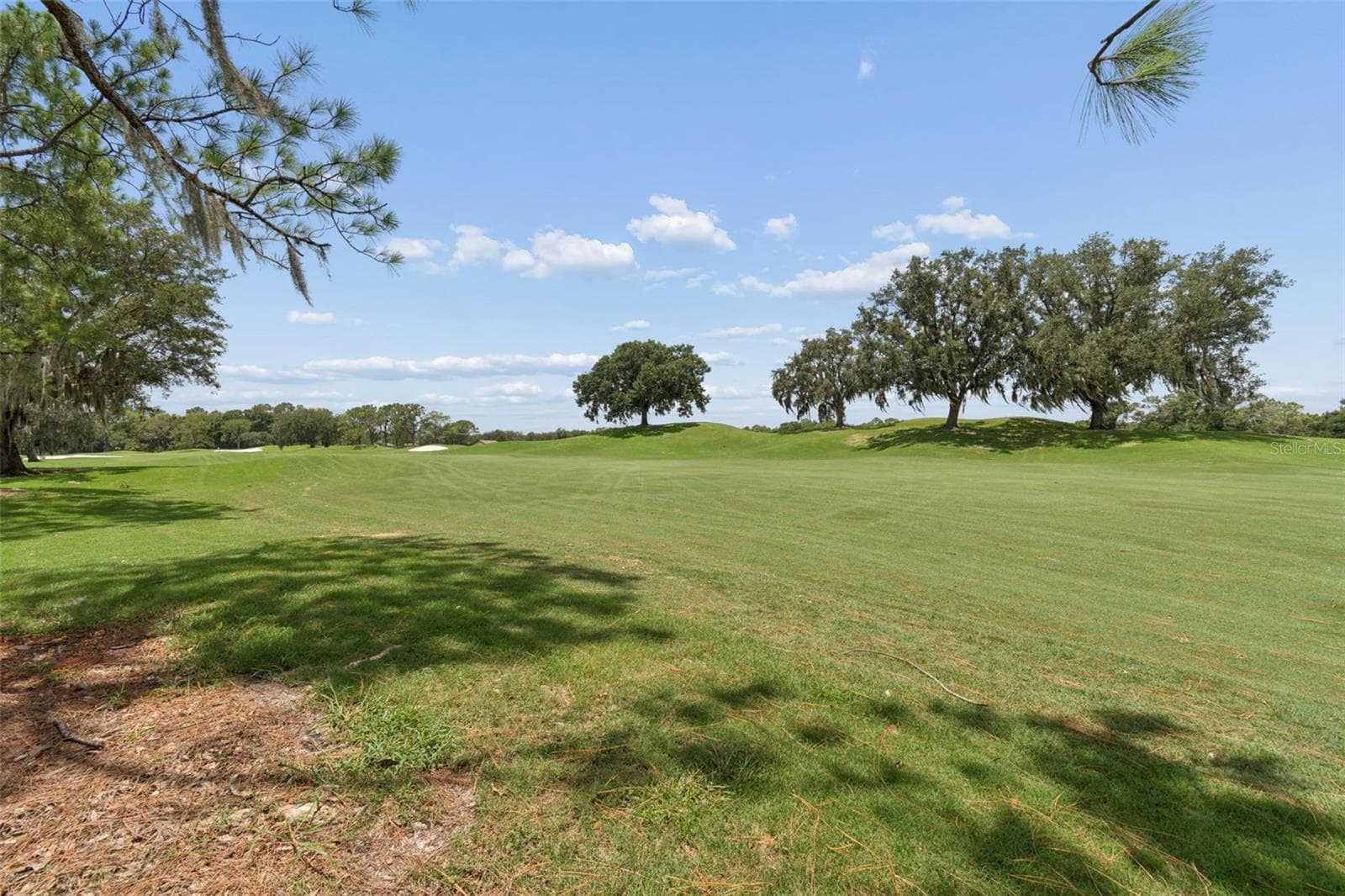 Single Family Residence at 17714 GREY EAGLE RD, TAMPA, photo 33 of 81