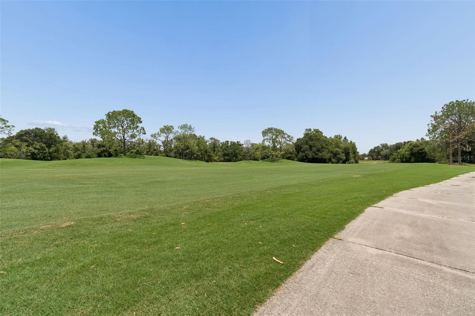 Single Family Residence at 17714 GREY EAGLE RD, TAMPA, photo 34 of 81