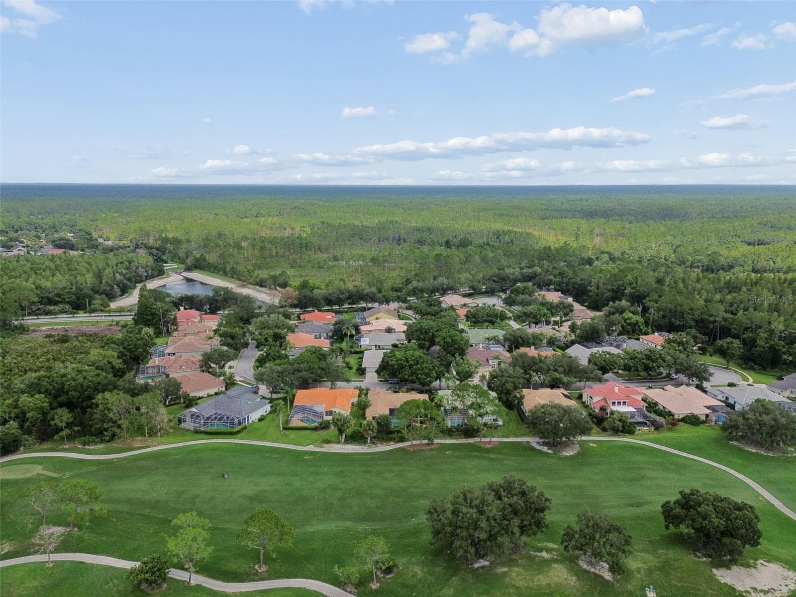 Single Family Residence at 17714 GREY EAGLE RD, TAMPA, photo 63 of 81