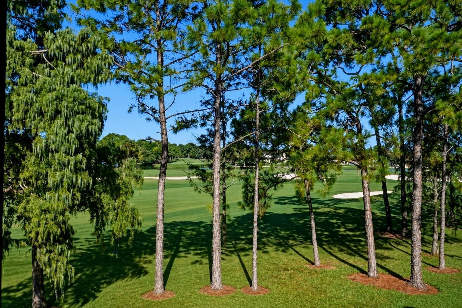 Enjoy Beautiful Sunsets! - 2400 FEATHER SOUND DR #427, CLEARWATER