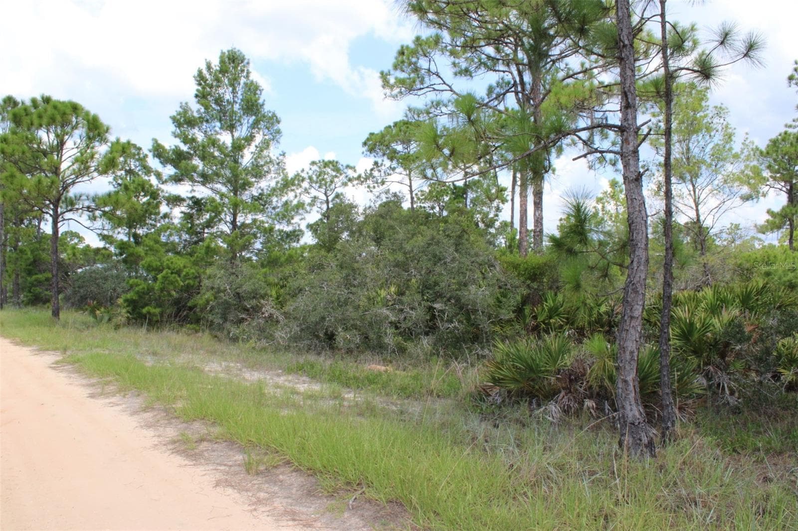 Land at 1830 OLEASTER AVE, SEBRING, photo 3 of 5