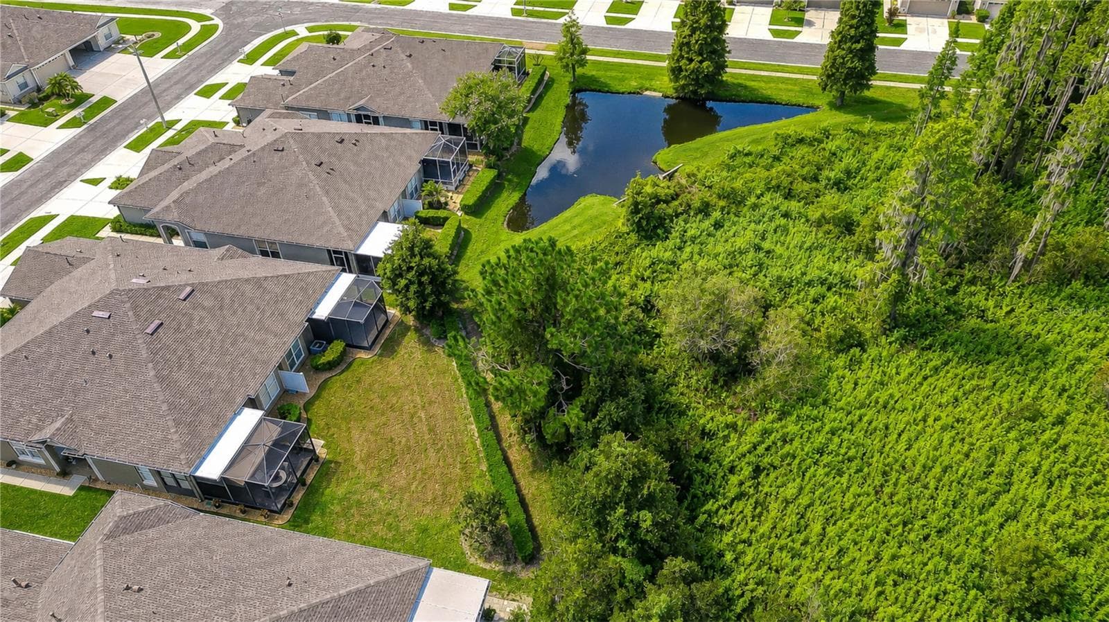 Villa at 1127 WRIGHTSWYNDE CT, WESLEY CHAPEL, photo 23 of 25