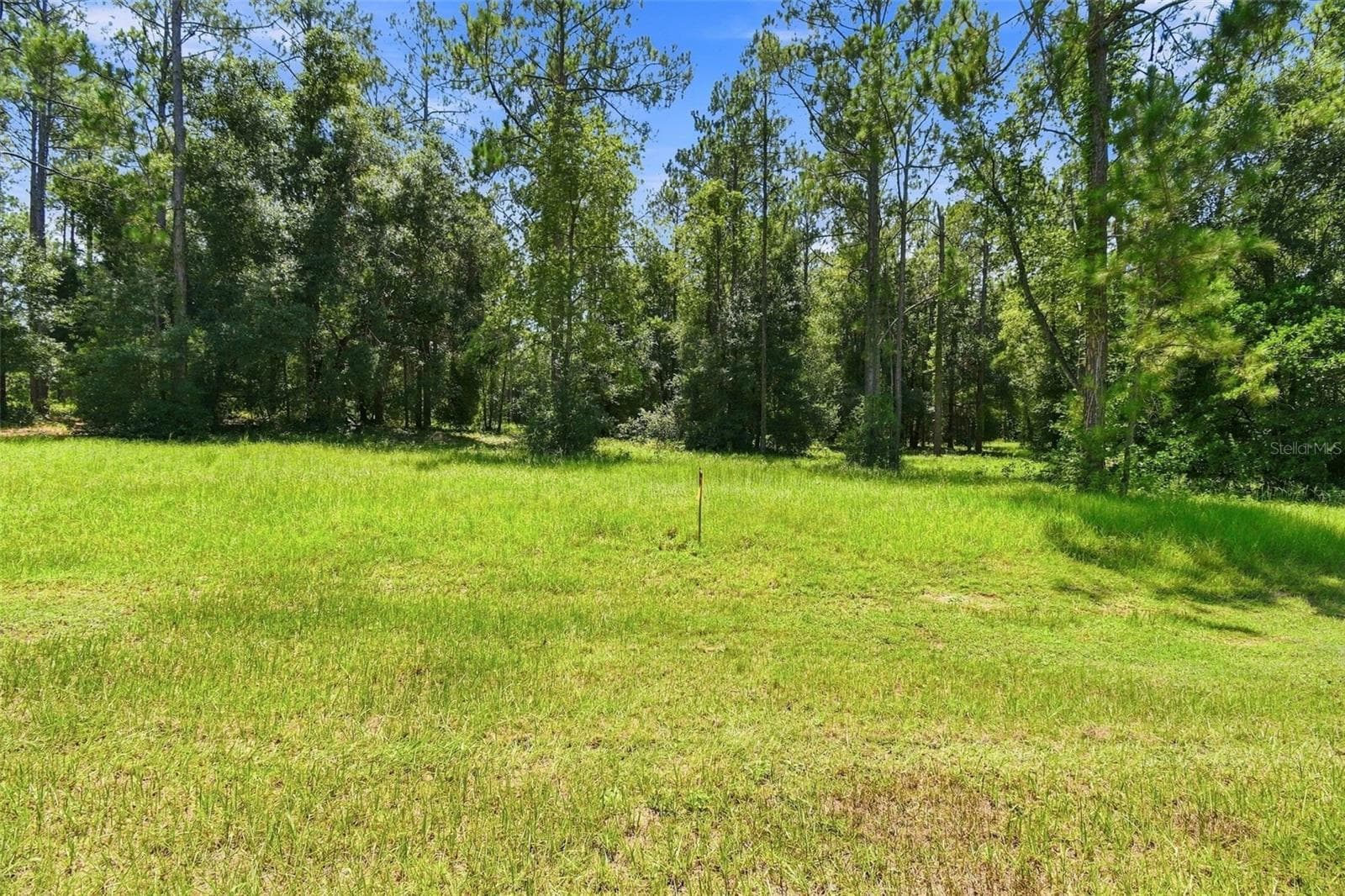 Build your "Dream Home" - 24150 GREENWOOD XING, EUSTIS