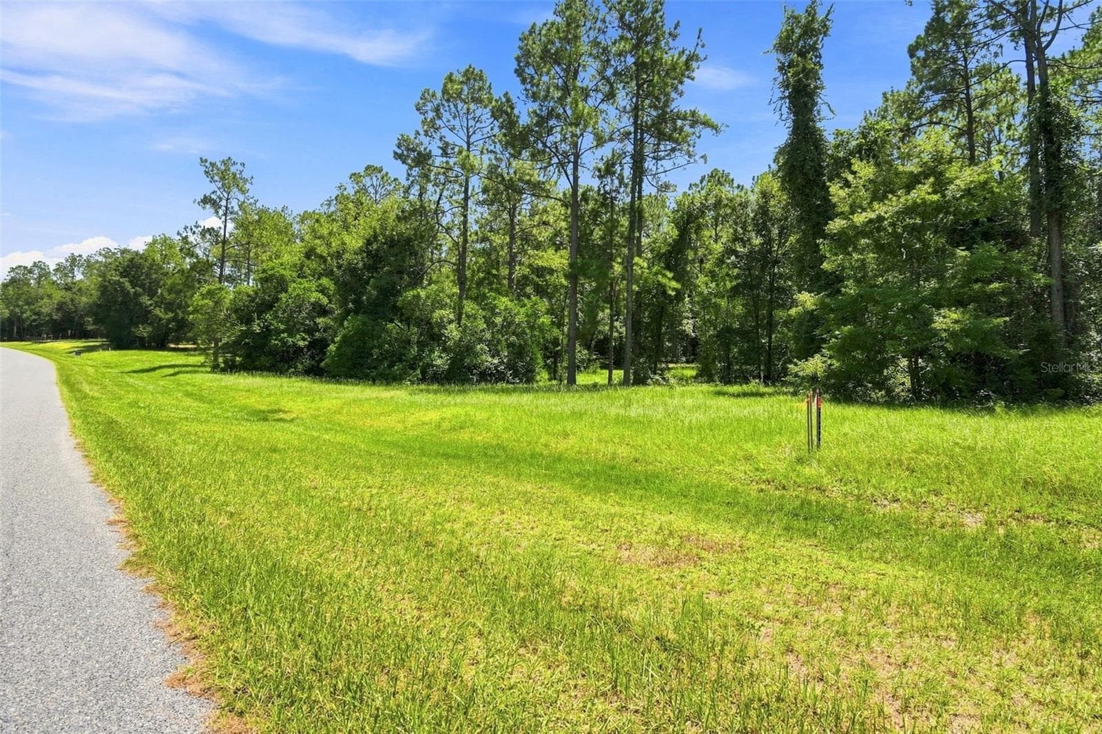 Wide lot frontage - 24150 GREENWOOD XING, EUSTIS