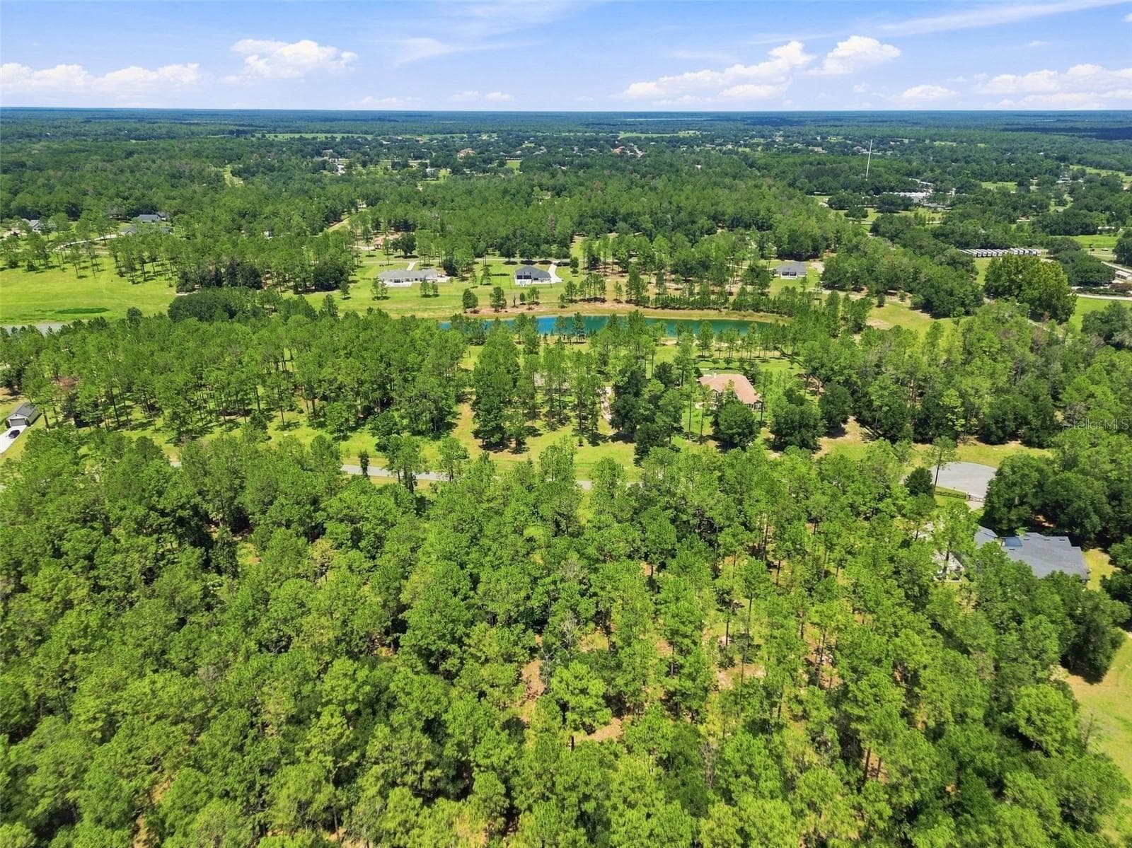 Aerial view - 24150 GREENWOOD XING, EUSTIS