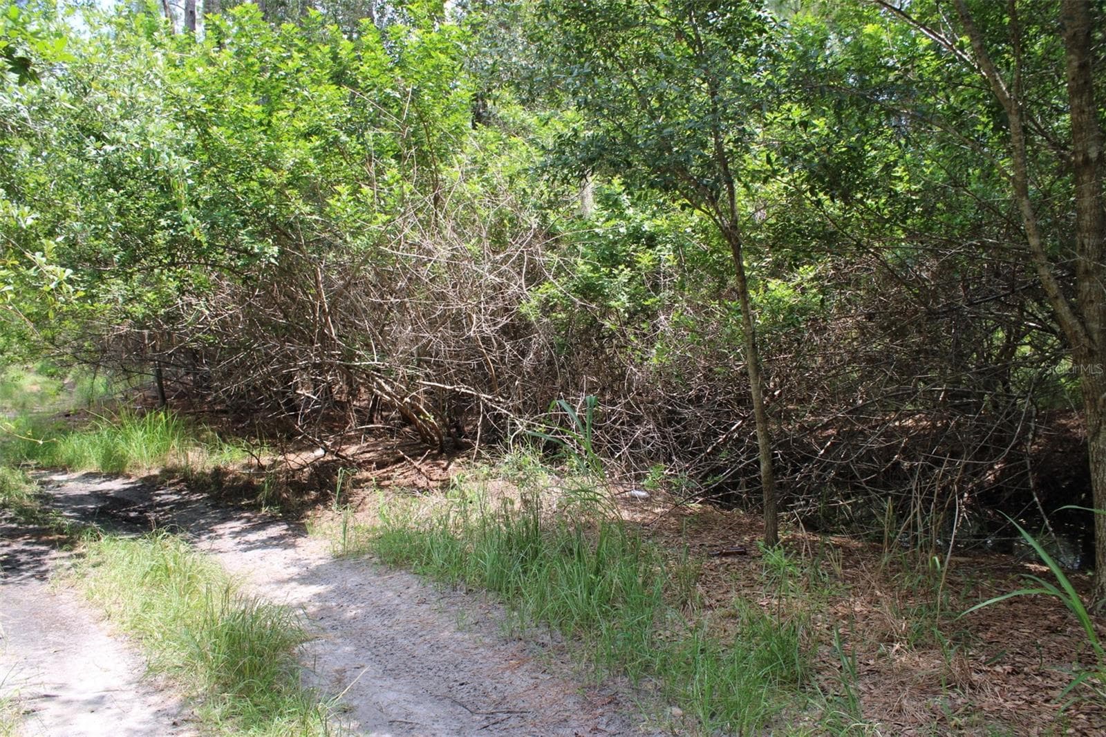 Land at 1217 IRIS AVE, SEBRING, photo 2 of 5