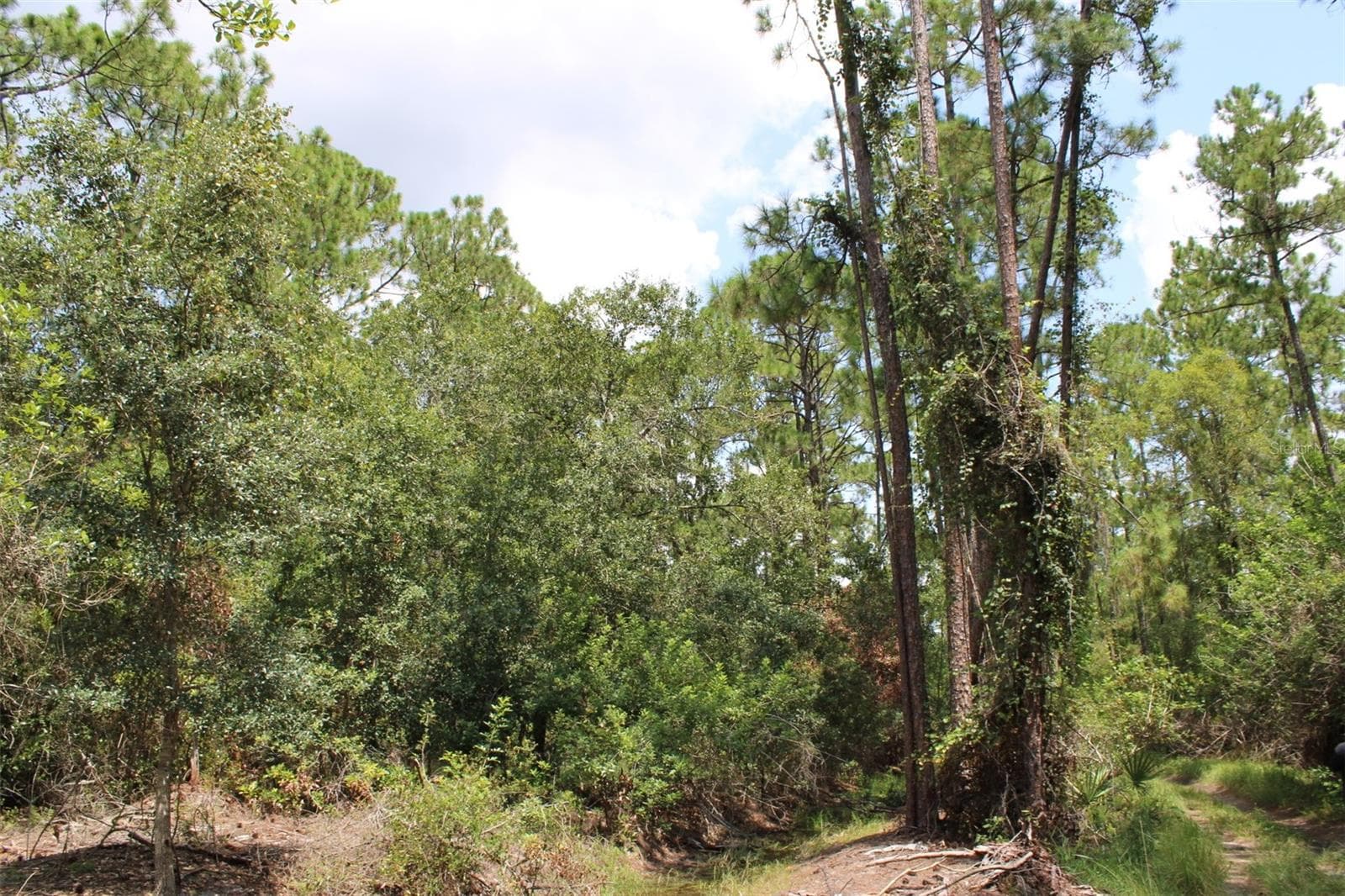 Land at 1217 IRIS AVE, SEBRING, photo 3 of 5