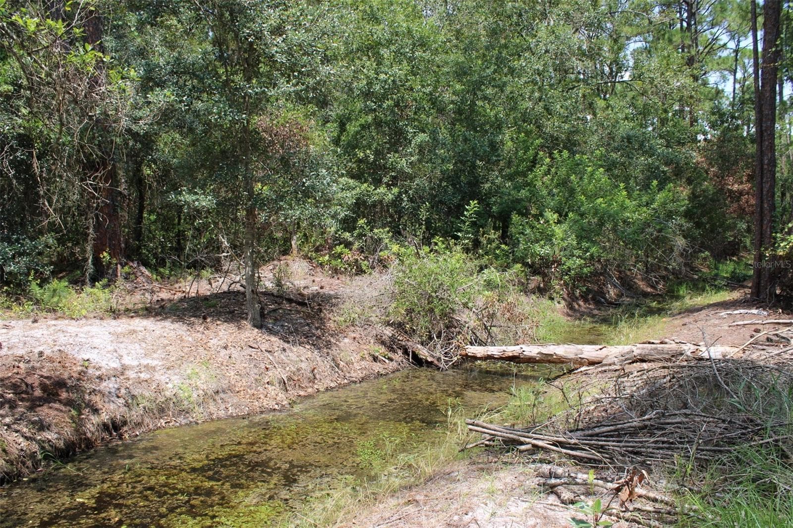Land at 1217 IRIS AVE, SEBRING, photo 4 of 5