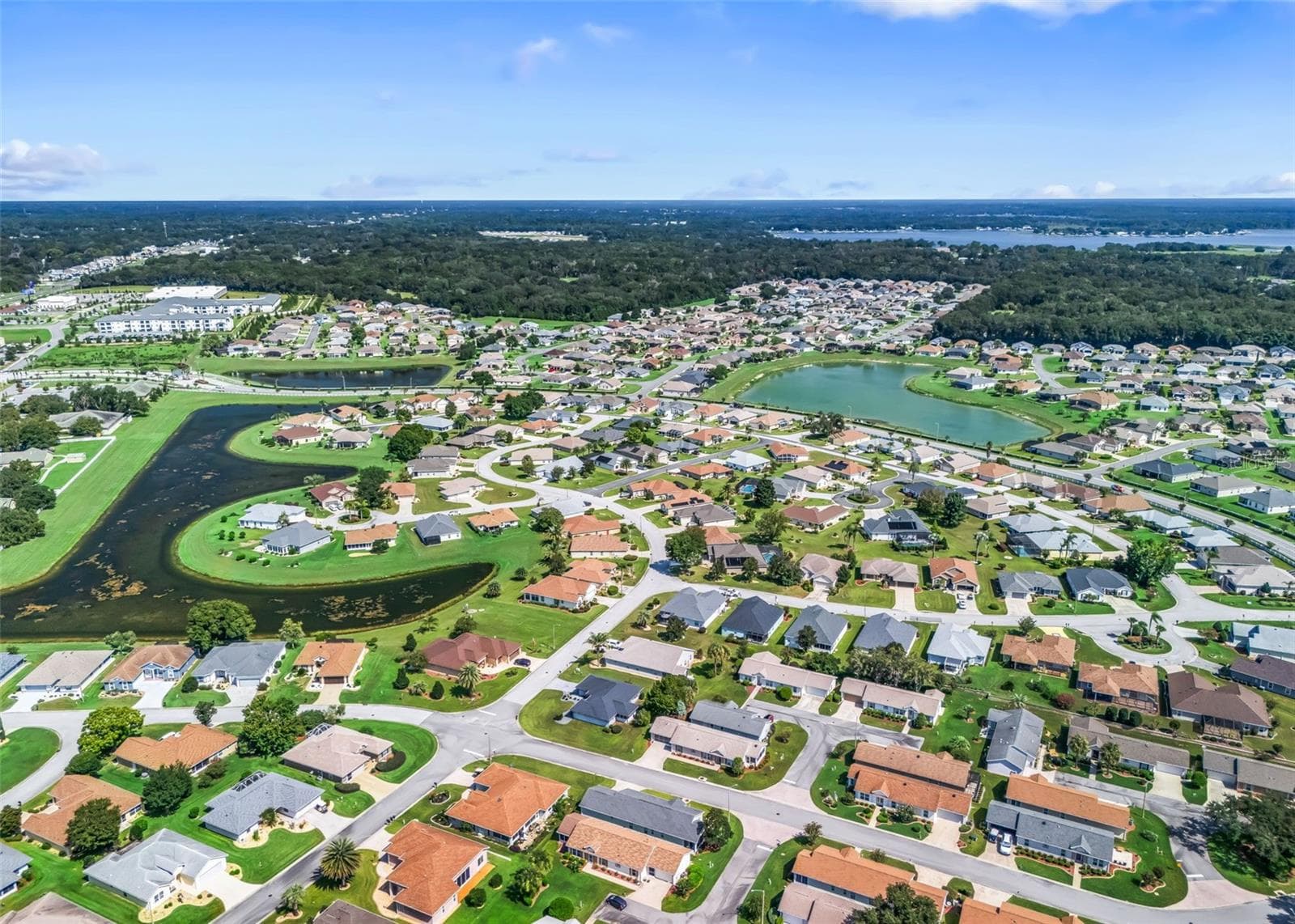 Golf Cart Community - 11137 SE 174TH LOOP, SUMMERFIELD