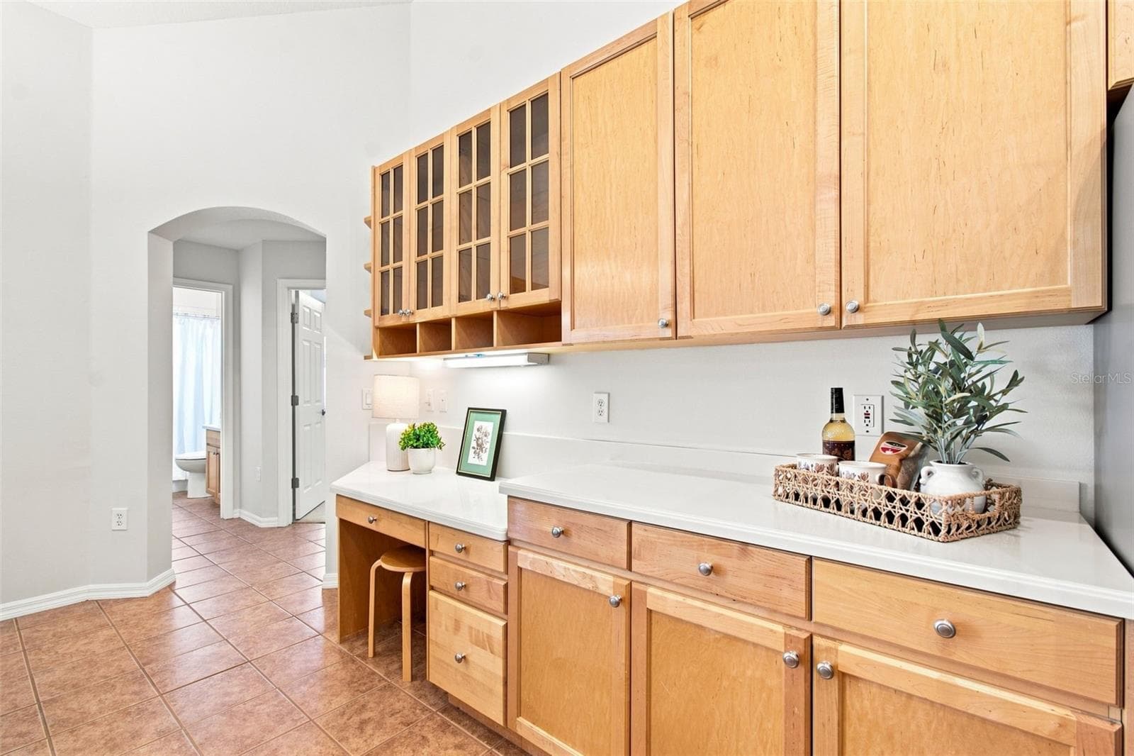 Single Family Residence at 10260 SHADOW BRANCH DR, TAMPA, photo 17 of 51