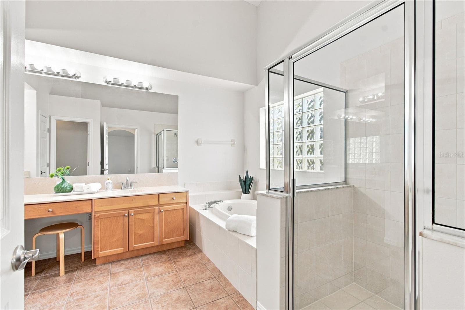 Single Family Residence at 10260 SHADOW BRANCH DR, TAMPA, photo 28 of 51