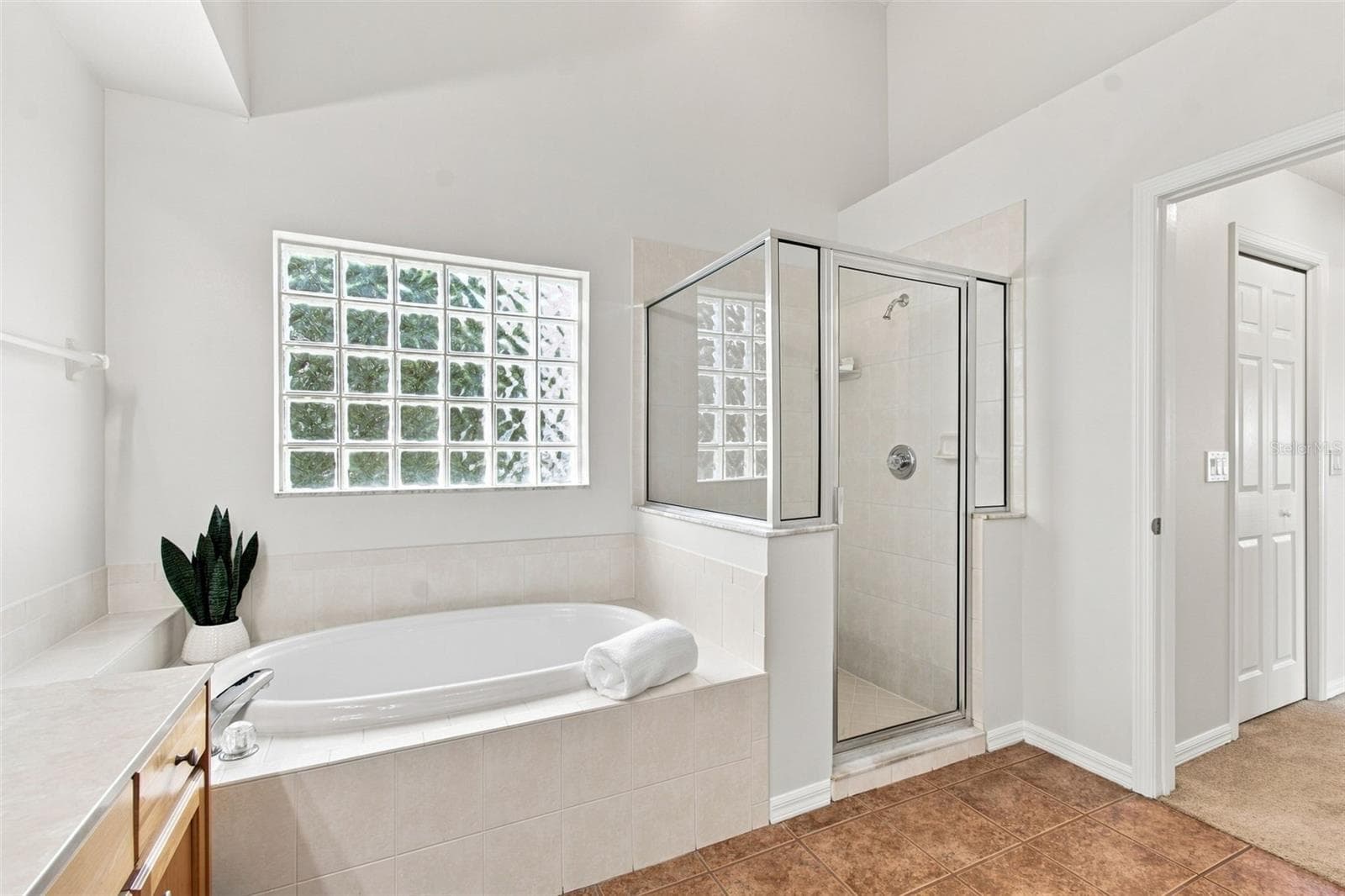 Single Family Residence at 10260 SHADOW BRANCH DR, TAMPA, photo 30 of 51