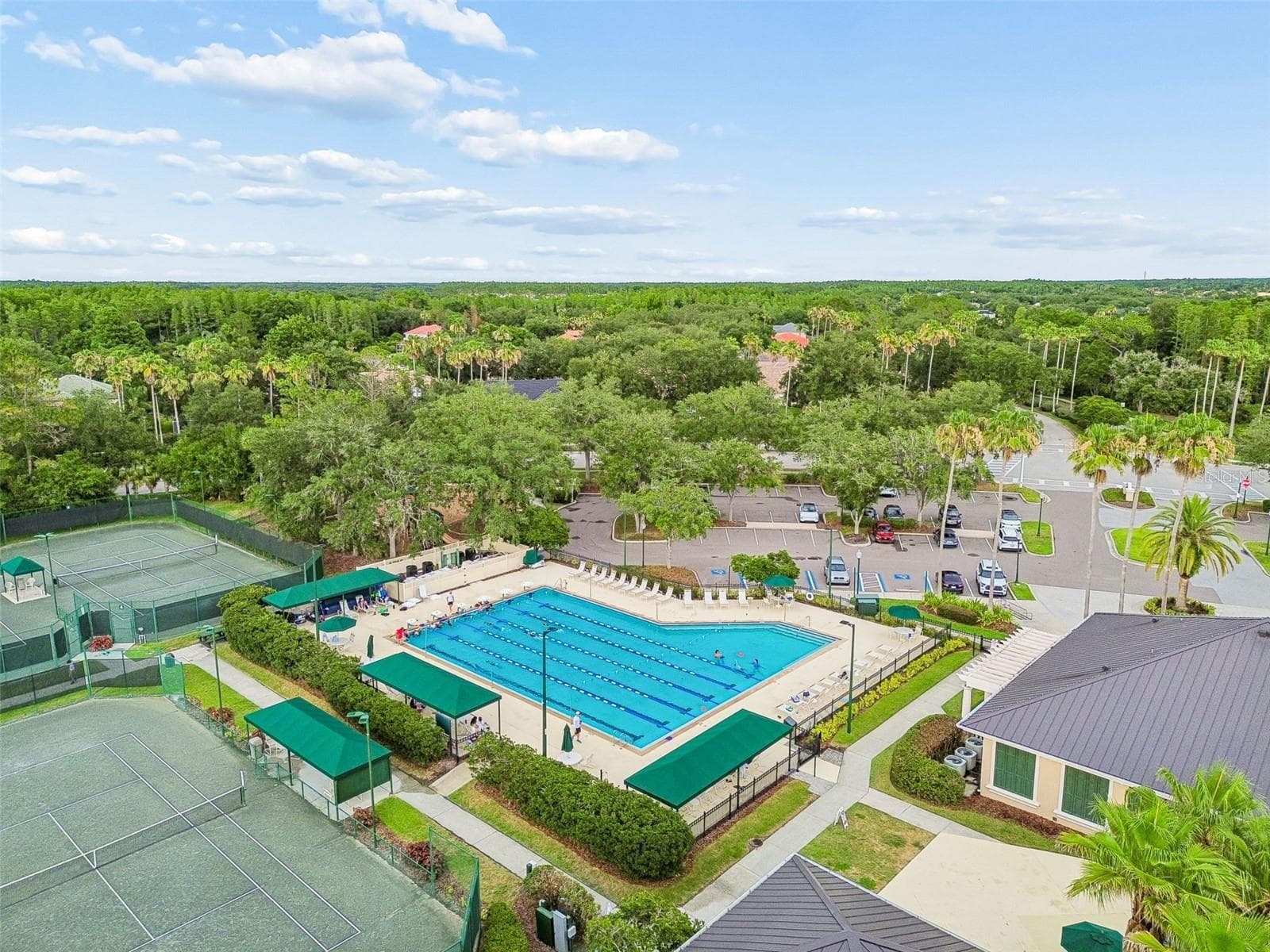 Single Family Residence at 10260 SHADOW BRANCH DR, TAMPA, photo 49 of 51