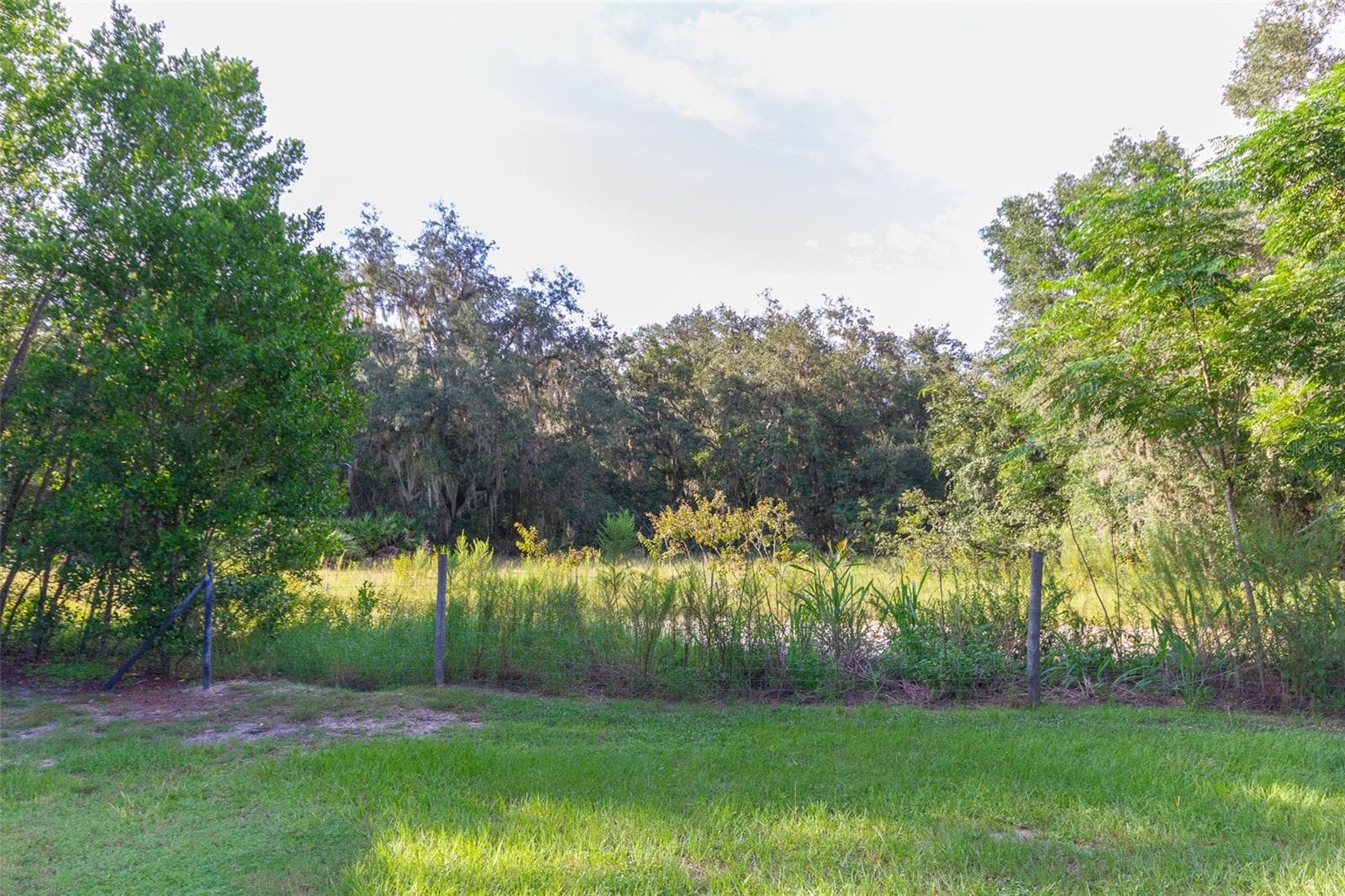 Backs to conservation area, short 5 minute walk to the Hillsborough River - 12231 KELLY LN, THONOTOSASSA