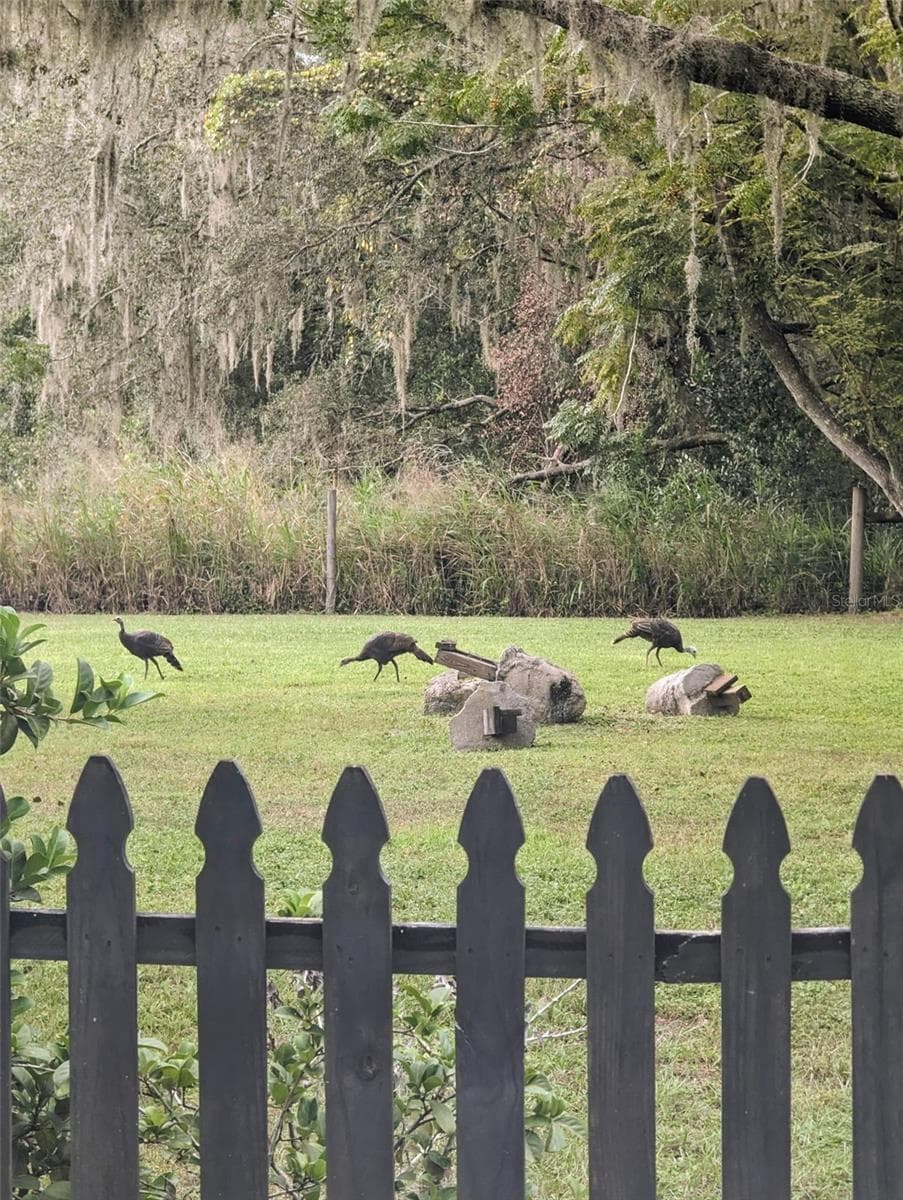 Abundant wildlife, turkeys, sandhill cranes, falcons, owls, and tortoises - 12231 KELLY LN, THONOTOSASSA