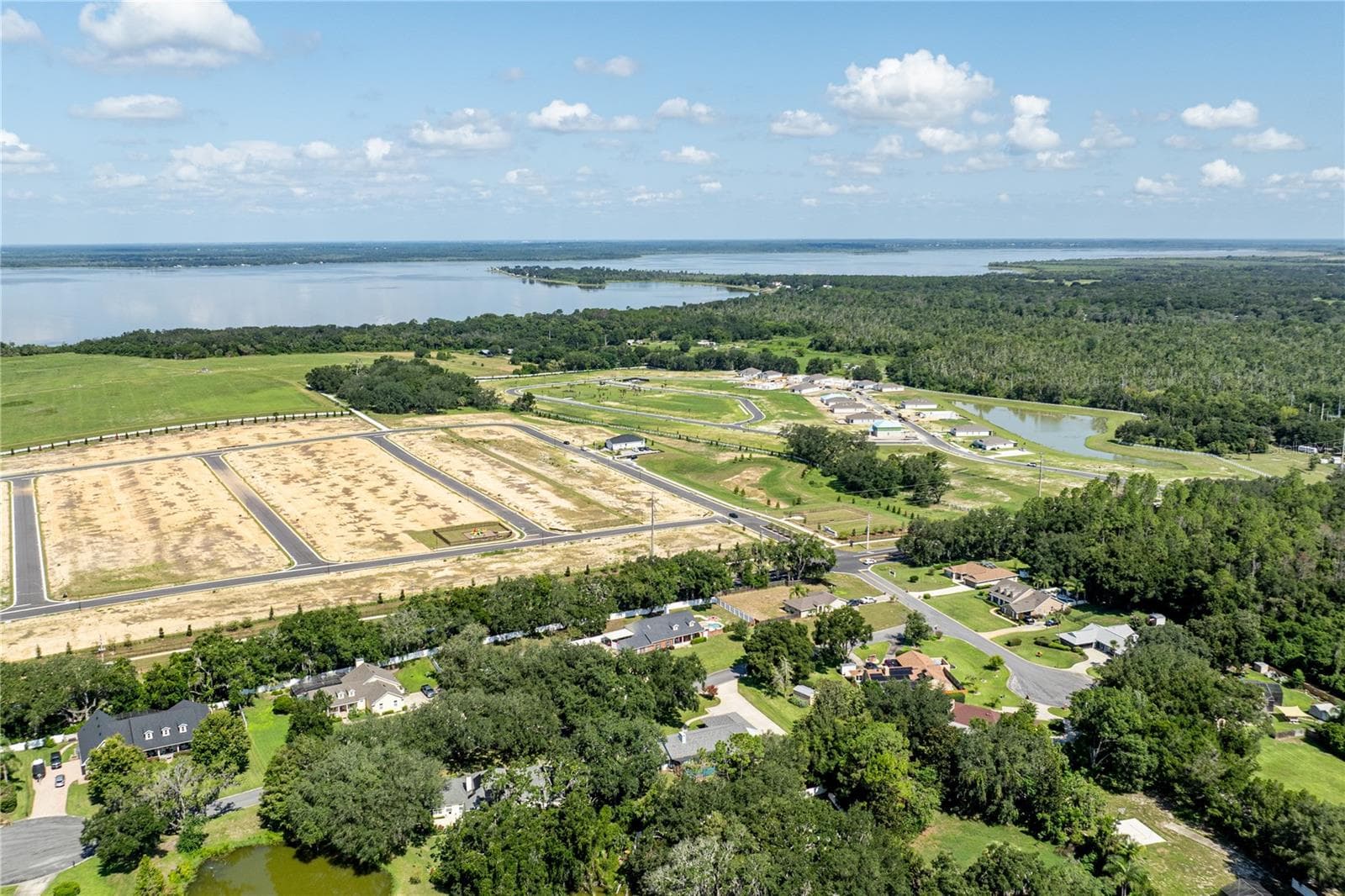 View of Lake Griffin - 33816 SPRING DR, LEESBURG