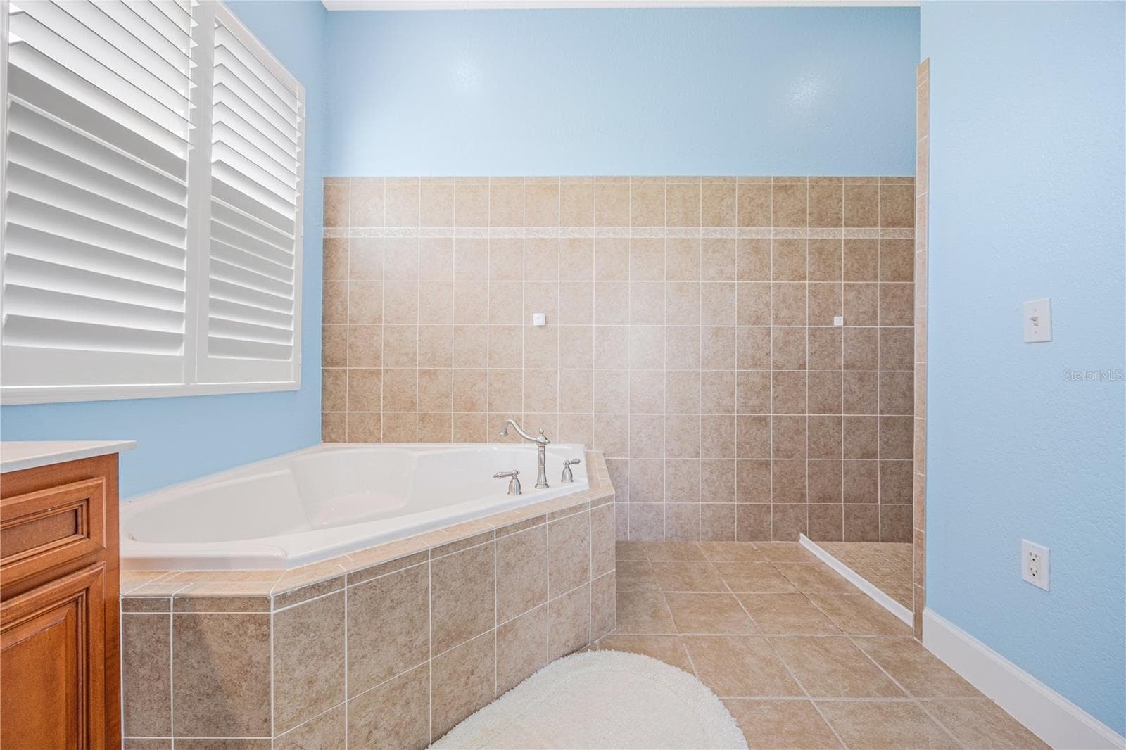 Primary Tub - 254 SW NIGHTSHADE DR, LAKE CITY