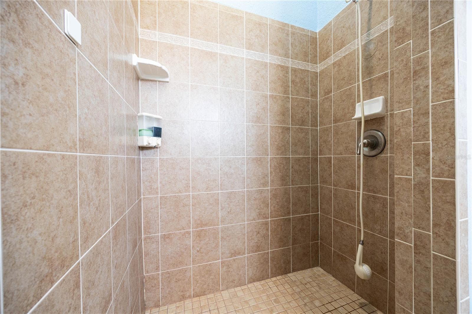 Primary Shower - 254 SW NIGHTSHADE DR, LAKE CITY