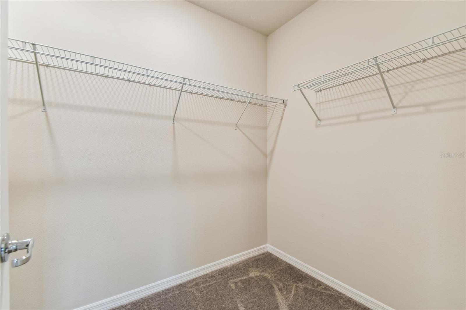 Model Representation - 6586 ASBURY BARNES ST, WESLEY CHAPEL