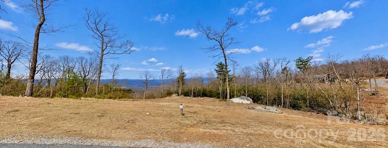 lot cleared before summer growth - Fletcher