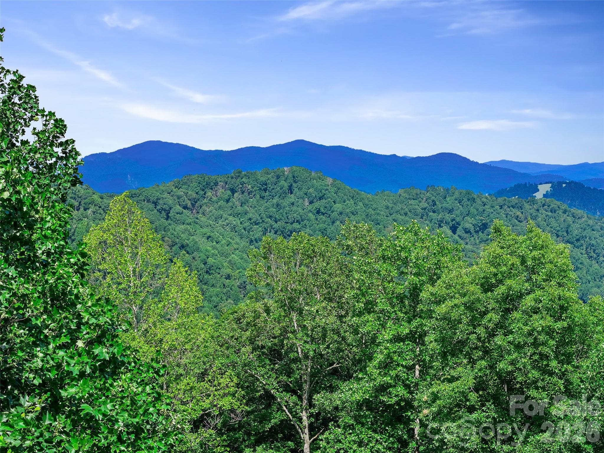 Single Family Residence at 185 Blue Bird Lane, Spruce Pine, photo 34 of 39