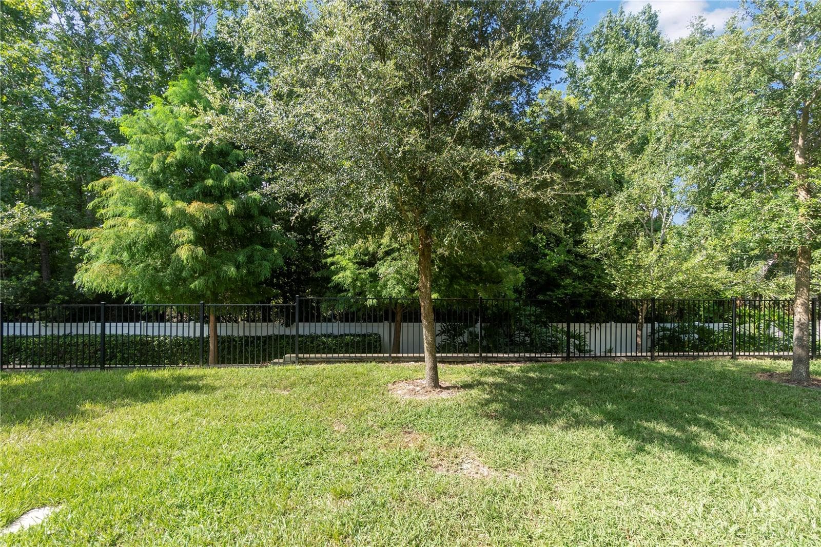 Rear view Conservation & Trail - 1610 GRAND RUE DR, CASSELBERRY