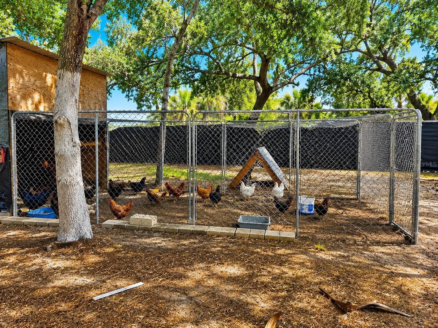 Land at MAMMOTH GROVE RD, LAKE WALES, photo 16 of 31