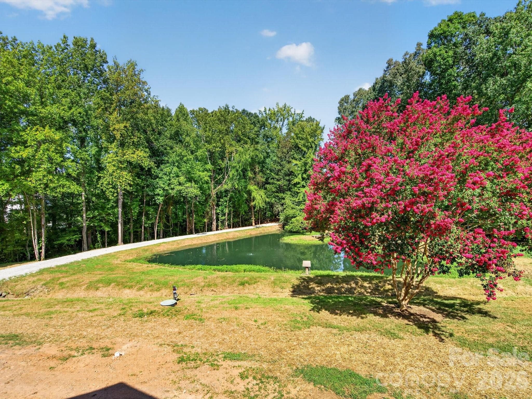 Expansive yard, beautiful surroundings. - 2532 Sam Newell Road, Matthews